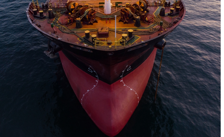 Environmental Defense Fund, LR, and Ricardo launch report examining ecological impact of ammonia as a shipping fuel across diverse habitats and receptors